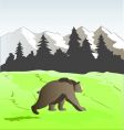 Bear vector image
