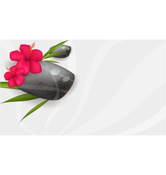 Hibiscus spa banner vector image