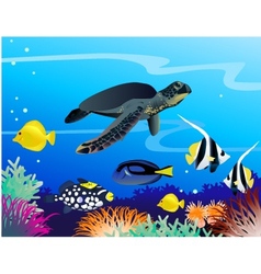 Sea life vector image