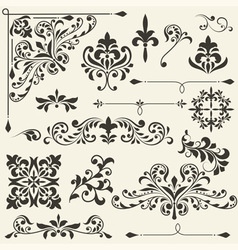Vintage floral design elements vector image