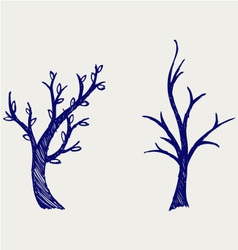 Trees silhouettes vector image
