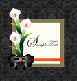 Calla lilies on black damask background vector image