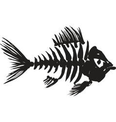 Fish skeleton vector image