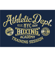 Boxing academy vector image