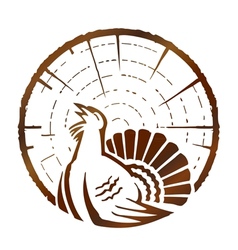Wood grouse vector image
