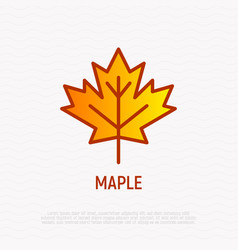 Maple leaf icon Royalty Free Vector Image - VectorStock