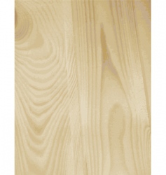 Wooden texture vector image