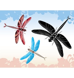Set of dragonflies vector image