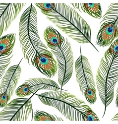 Seamless texture with peacock feathers vector image
