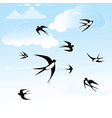 Bird swallow in sky vector image