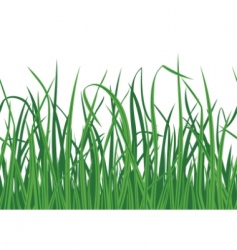 Grass seamless background vector image