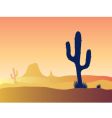 Desert cactus vector image