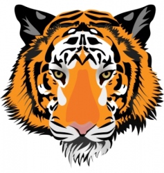 Tiger head vector image
