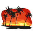 Sunet palms vector image