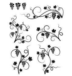 Grape design elements vector image