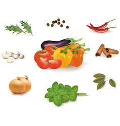 Group of vegetables vector image