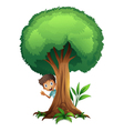 A boy and a tree vector image