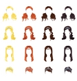 Female hair vector image