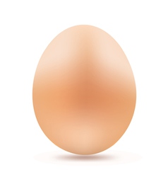 Yellow egg vector image