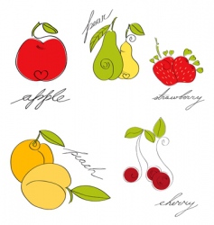 Set of fruit vector image