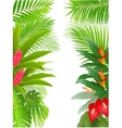 Tropical forest background vector image