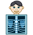 X ray vector image