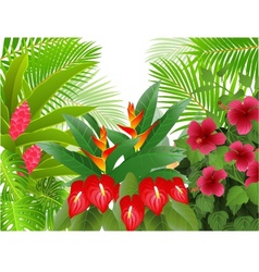 Tropical forest background vector image
