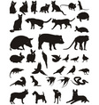 Pet silhouettes vector image