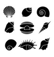 Sea shells silhouettes isolated on white vector image