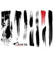 Highly detailed illustration brushes vector image