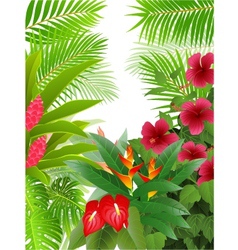 Tropical forest background vector image