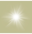 Elegant design with a burst EPS 8 vector image