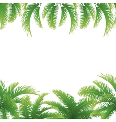 Seamless background palm leaves vector image