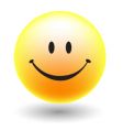 A happy smiley face button vector image