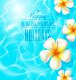 Tropical frangipani flowers floating on clear blue vector image