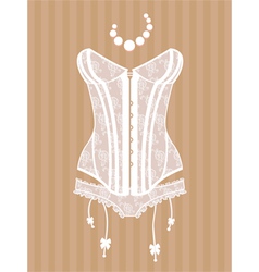 Vintage corset vector image