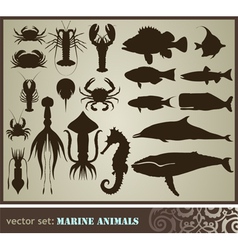 Marine animals vector image