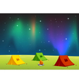 Camping Field vector image