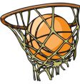 Basketball vector image