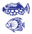 Tropical fish vector image