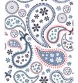 Paisley pattern vector image