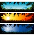Jungle background vector image