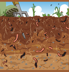 Soil vector image