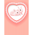 Two rabbits vector image