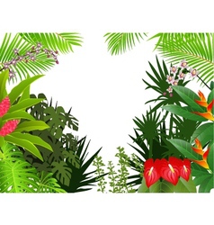 Tropical forest background vector image
