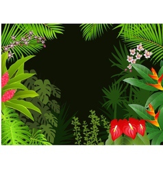 Tropical forest background vector image