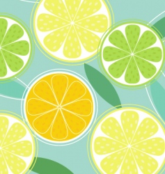 Citrus background vector image