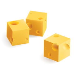 Cheese snack vector image