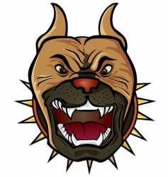 Pit bull terrier vector image