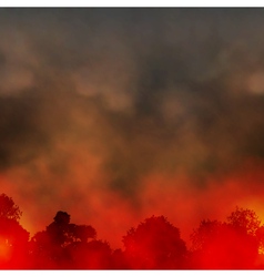 Forest fire vector image